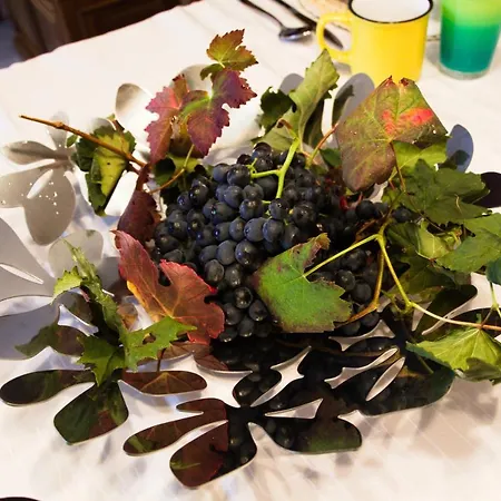 Dimora Relax 4* Costigliole d'Asti